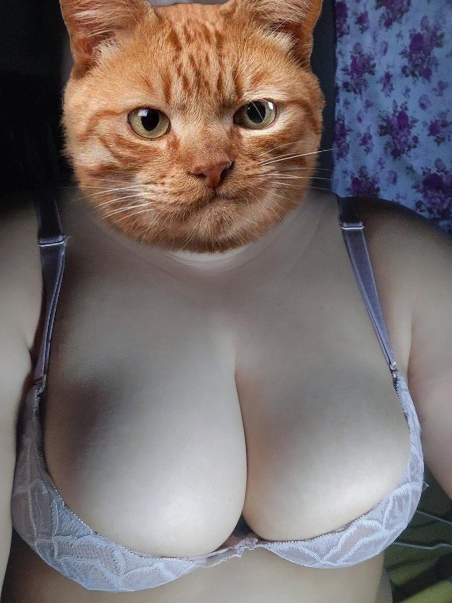 كيكه 🍰 tweet media