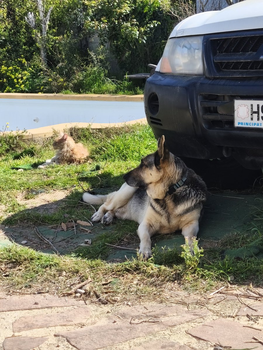 💛Miss Marieta💜🍉 tweet media