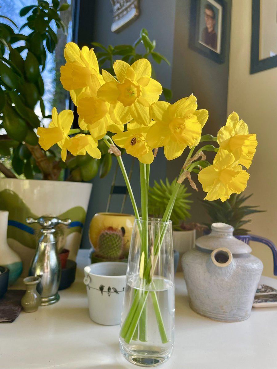 Stifyn1's tweet image. Sunshine #goleuni #nature #kitchen #thursday #spring