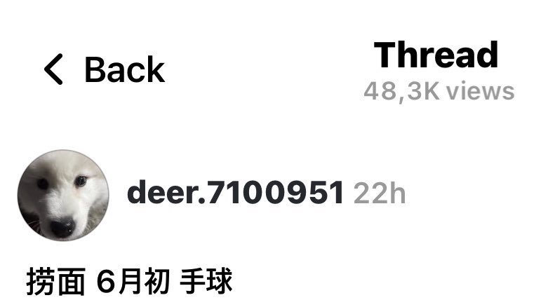 파이✿𝓙 tweet media