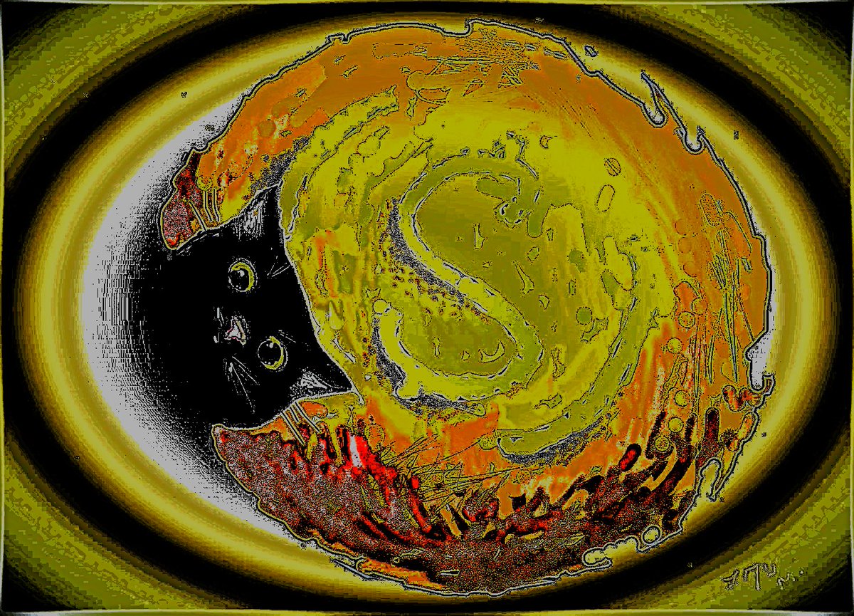 milevbtc tweet media