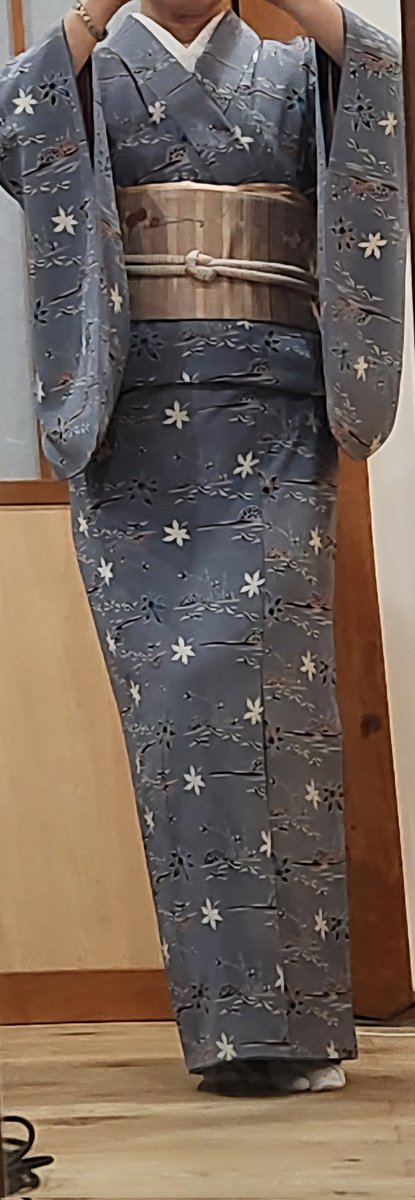 琵琶・なかざわひとみ HITOMI NAKAZAWA tweet media