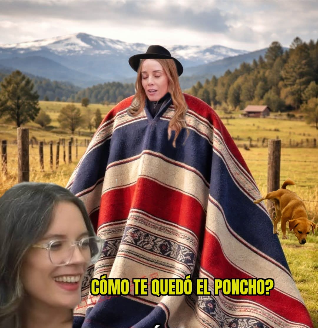 Facu Limper tweet media