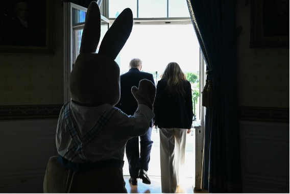 Pedro Rodríguez tweet media