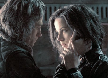 maybe isa tweet media