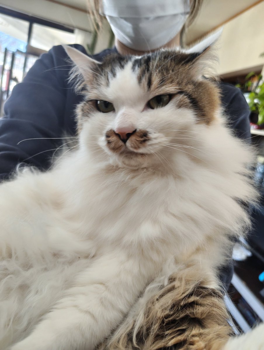 WRゲーマー応援部 tweet media