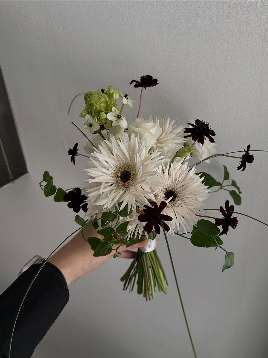 vfntsb's tweet photo. 소신발언...
부케 꽃다발은 왜 결혼식에서만 쓸까
그냥 선물용 꽃다발로도 쓰고 싶음
사유: 그냥 예쁨 https://t.co/IhWVb0Ax6c