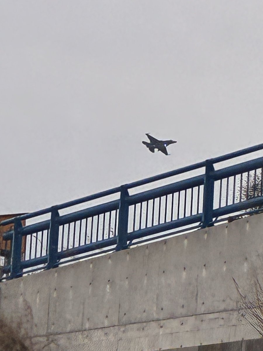 Magnus🤪ハカ tweet media