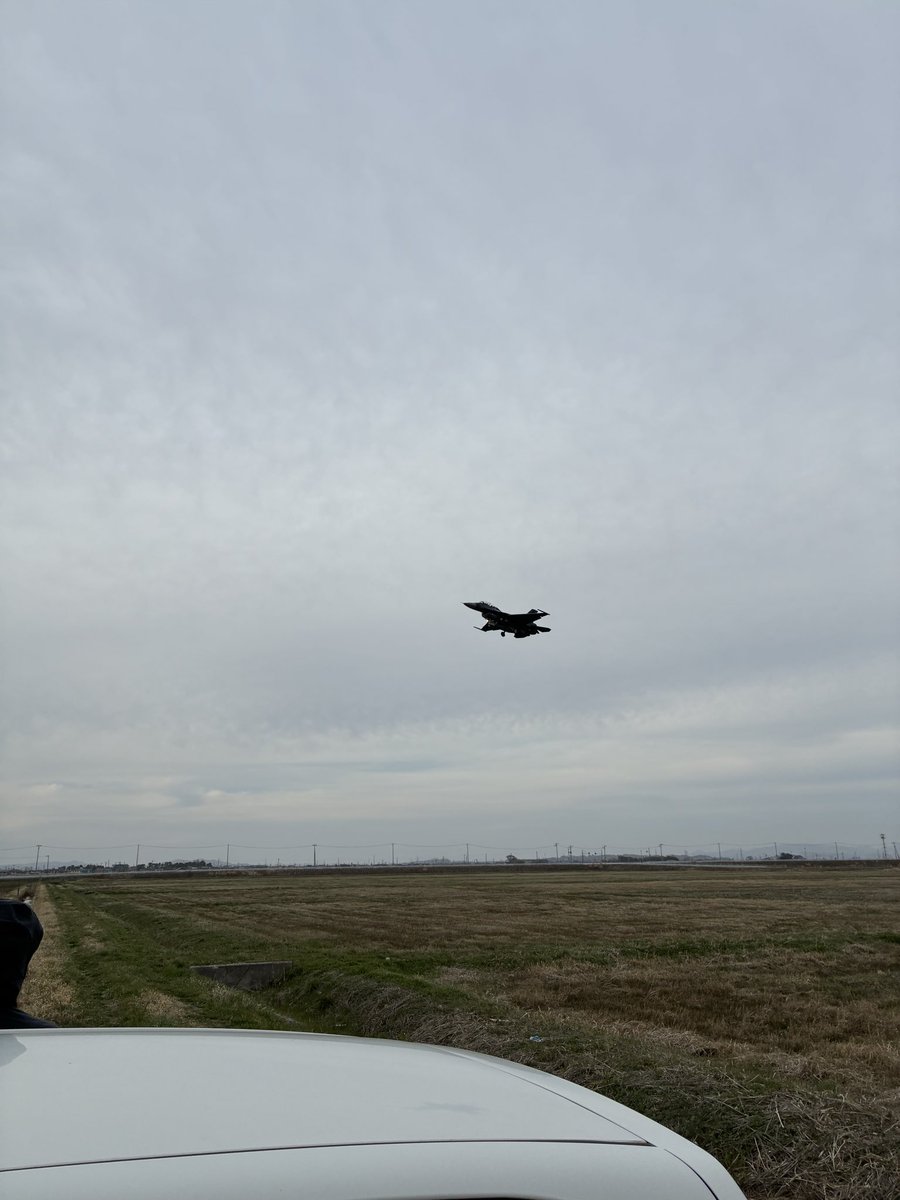 Magnus🤪ハカ tweet media