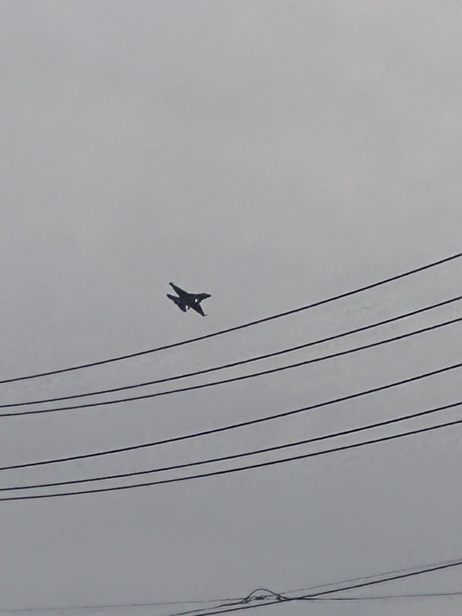 Magnus🤪ハカ tweet media