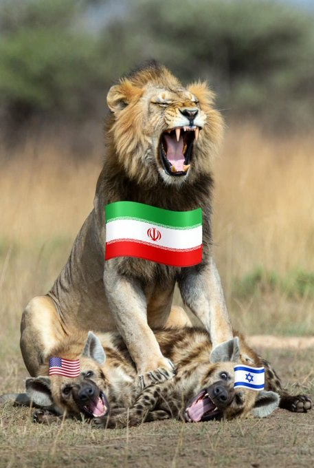 Parallax Syndicate tweet media