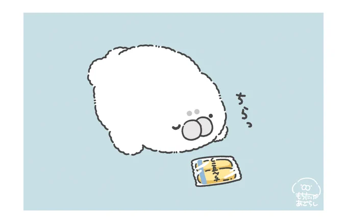 ( ˘ ꒳ ˙ )チラッ
#もちたぷあざらし化 