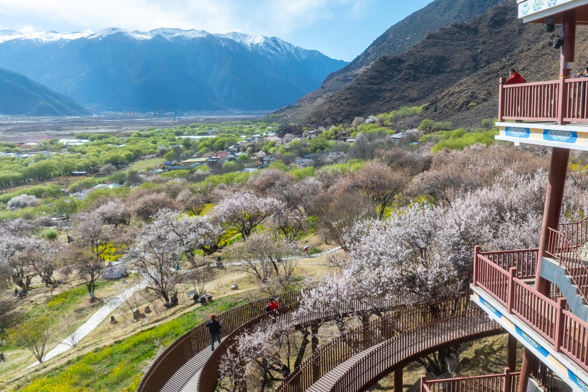 FlyOverChina tweet media