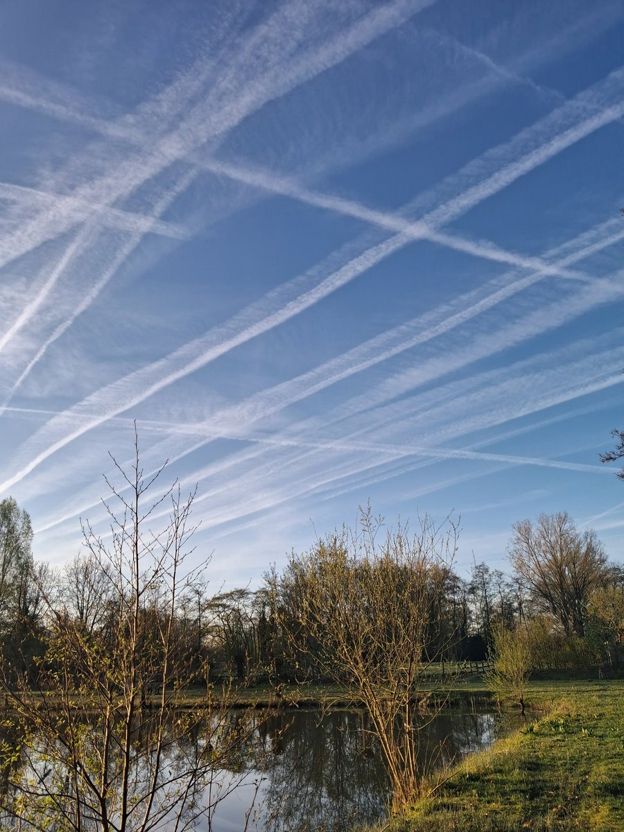 Sandra vdVelden🌸 tweet media