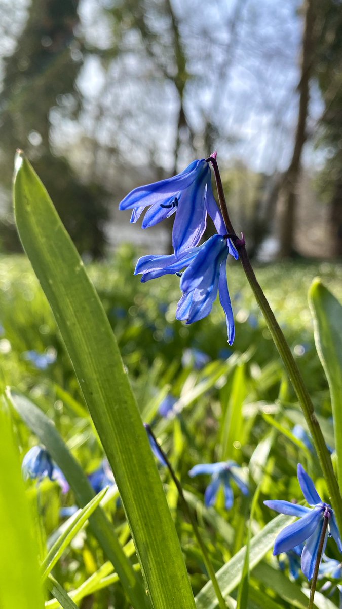 golden girl tweet media