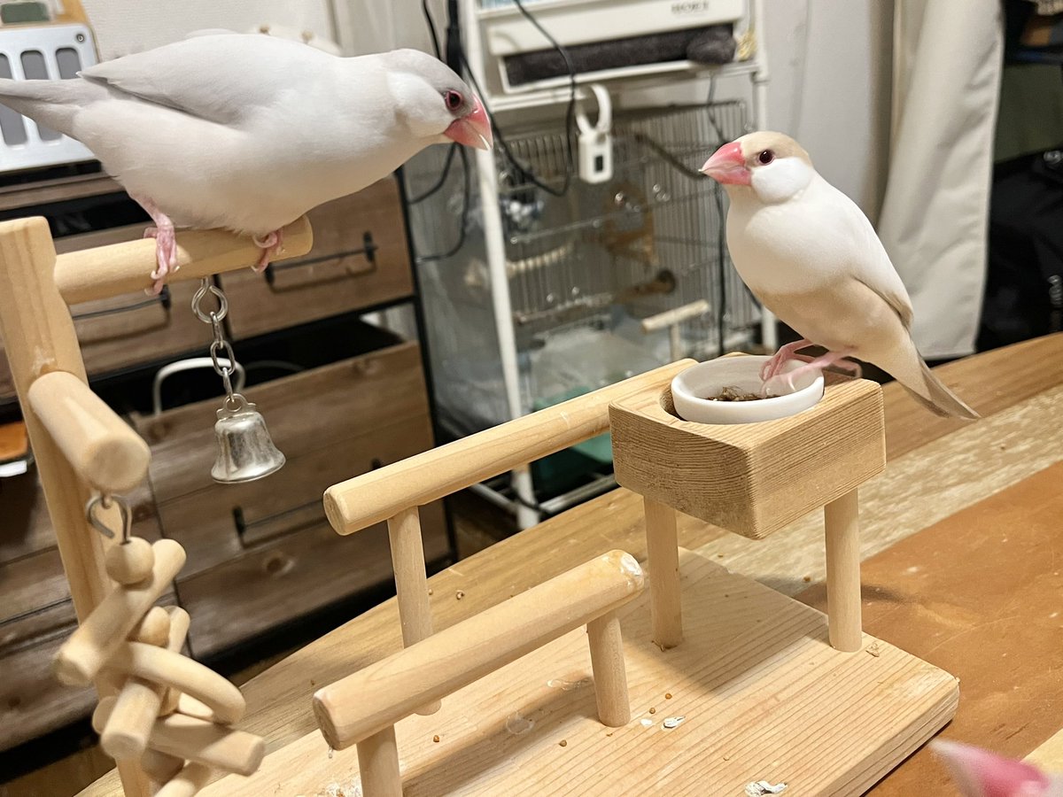 𝕣𝕪𝕒𝕞𝕒𓅪𓅪𓅫 tweet media