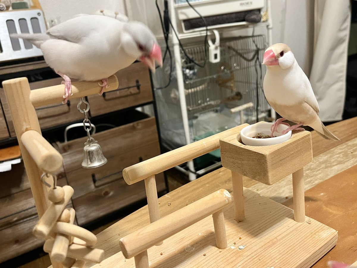 𝕣𝕪𝕒𝕞𝕒𓅪𓅪𓅫 tweet media