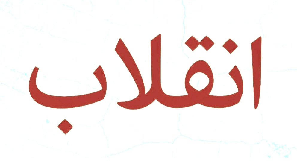 Alfred Riachi, PhD. tweet media