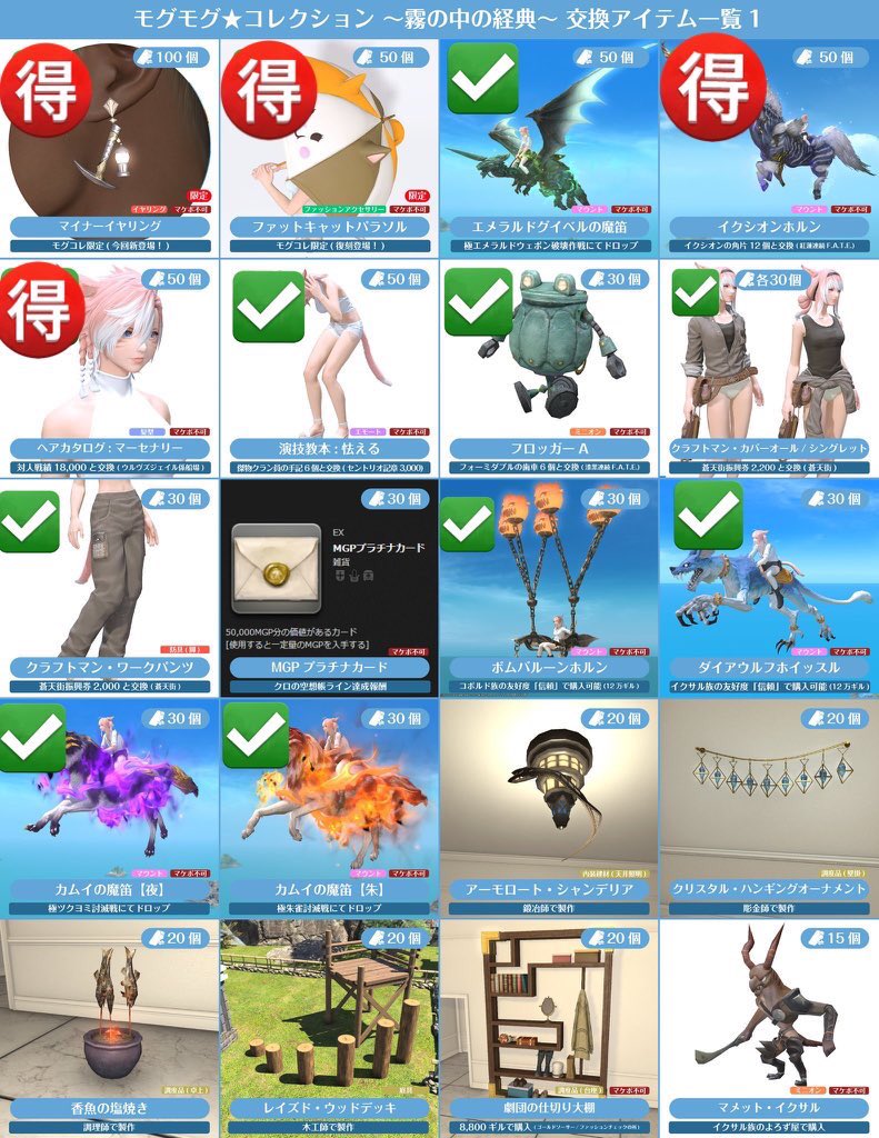 ひめと🐾 tweet media