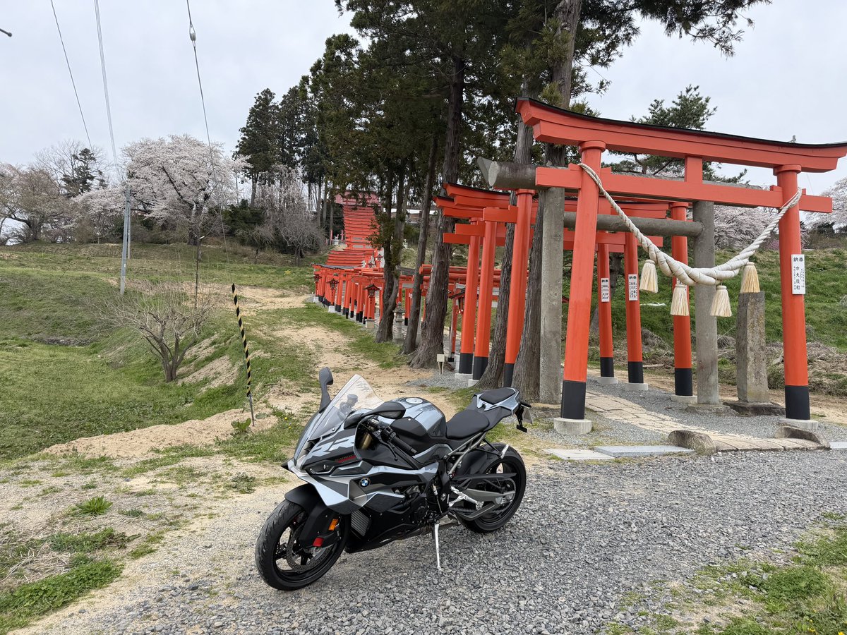 M.S.C.Hara /(株)原サイクル/(Motorrad Koshigaya) tweet media