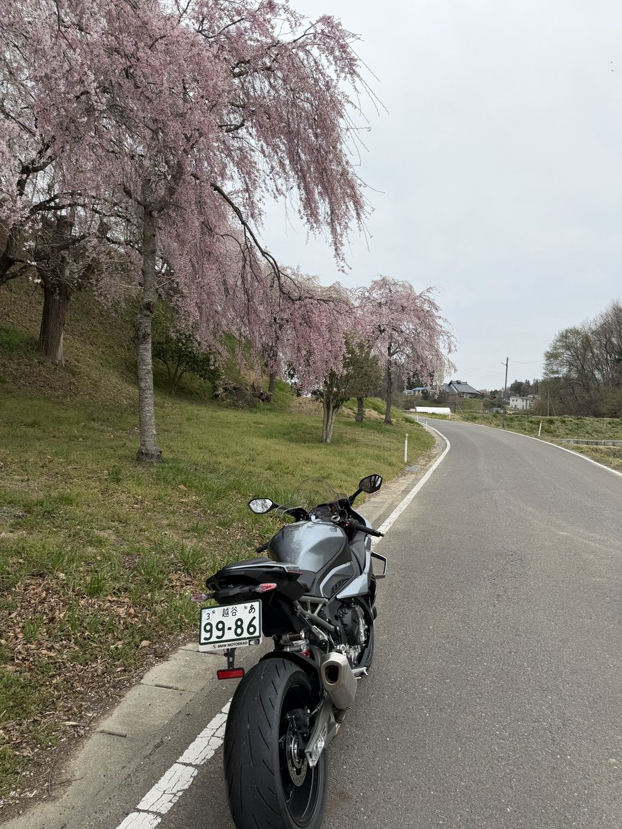 M.S.C.Hara /(株)原サイクル/(Motorrad Koshigaya) tweet media