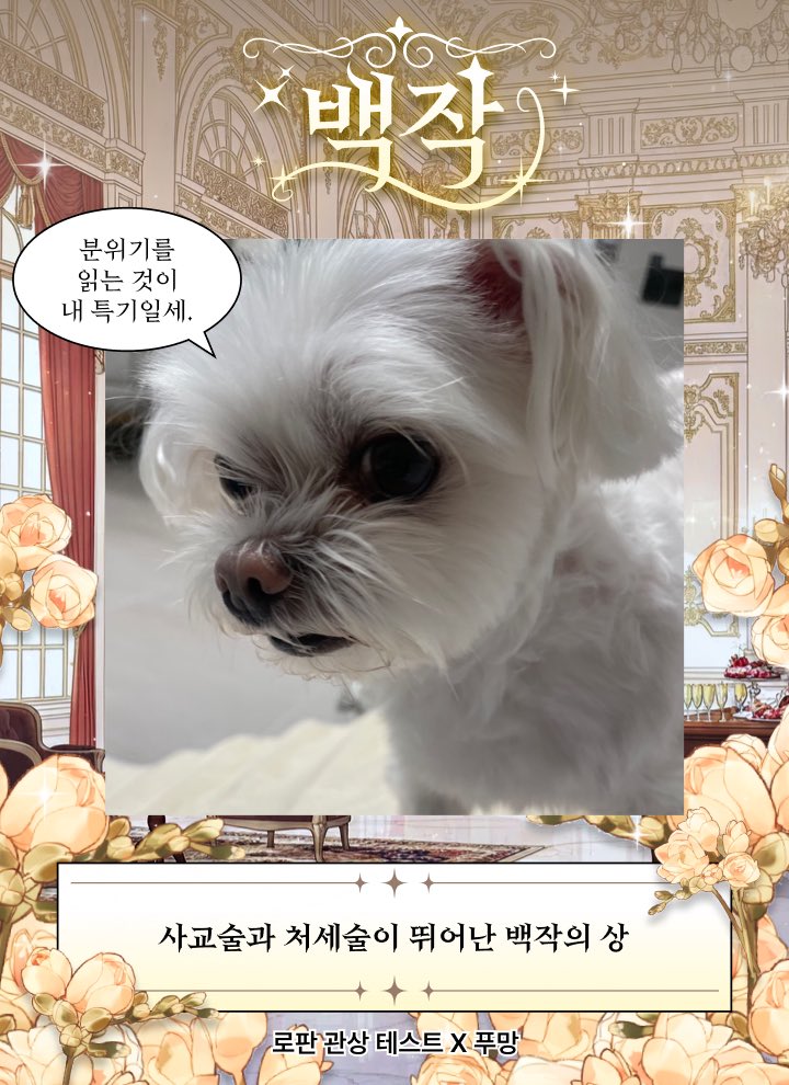 토비! tweet media