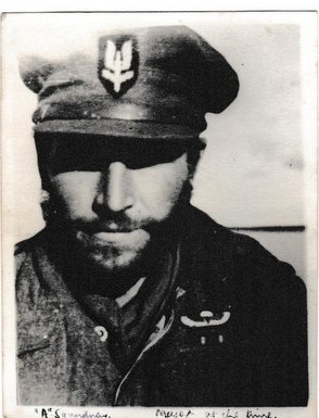 Gavin Mortimer tweet media