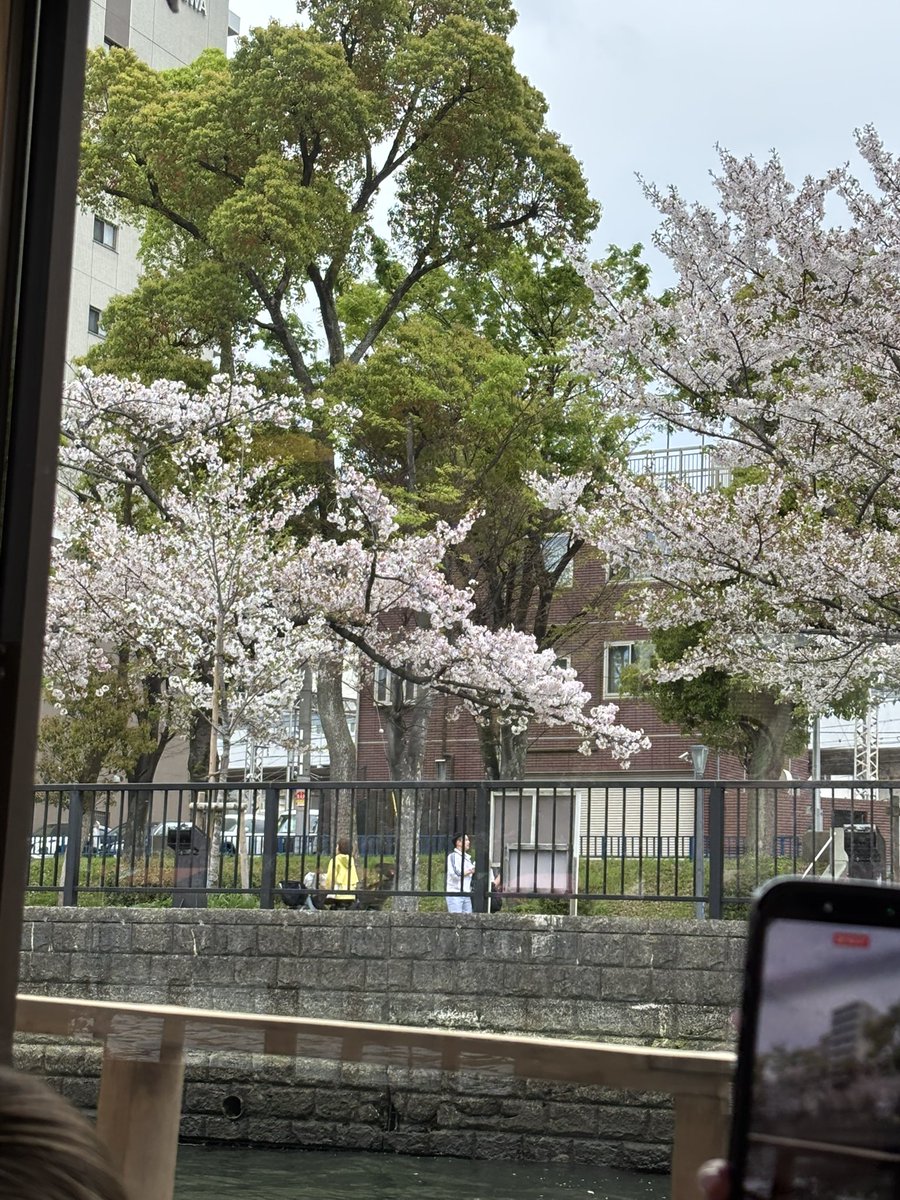 ゆ🐦‍🔥 tweet media