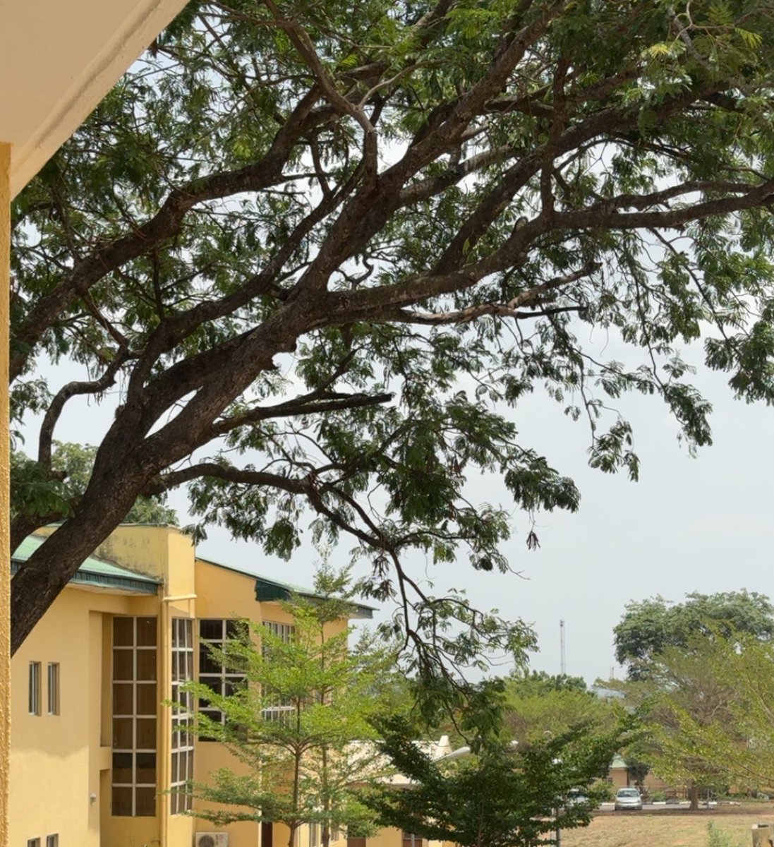 Mubarak 🌵 tweet media