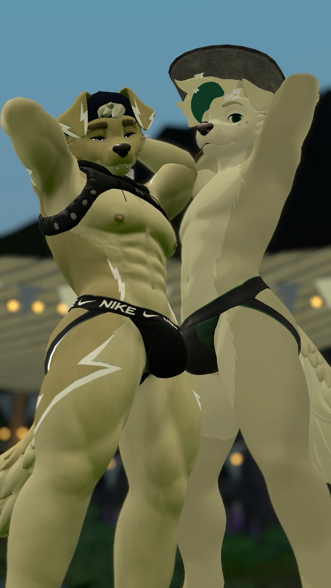 Chaotic Canines tweet media