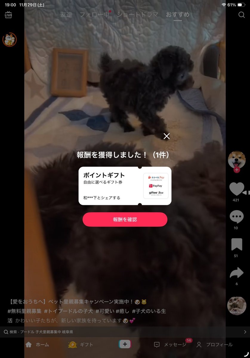 terapoika's tweet photo. 🌟QRコードから新規インストールで🌟

‼️お互い3500円‼️

のPayPayが即もらえます！
この機会に是非🌟

私の招待後もご自身のアカウントに家族や友人等招待する度に3500円貰えますよ✨

ステラソラ
ブルアカ
学マス
FGO
ヘブバン
パズドラ

PayPayなので勿論ガチャ課金にも🙆‍♀️

※登録は18歳以上を選択 https://t.co/IBIP6Hn8v7