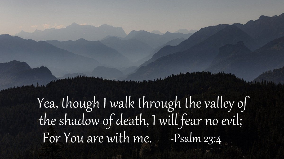 BIBLE LINE ～ バイブルライン tweet media