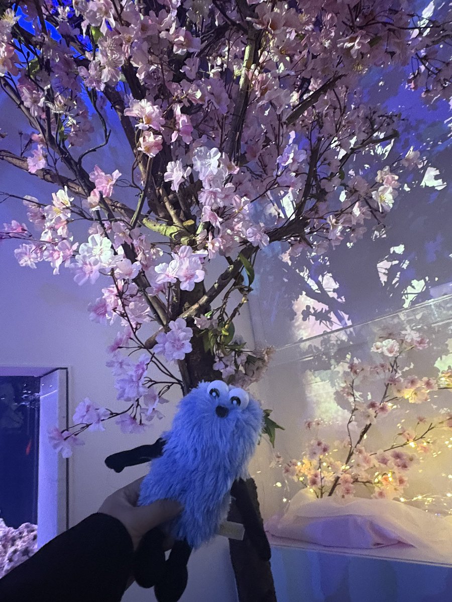 あーちゃん tweet media