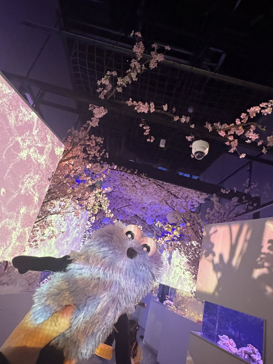 あーちゃん tweet media