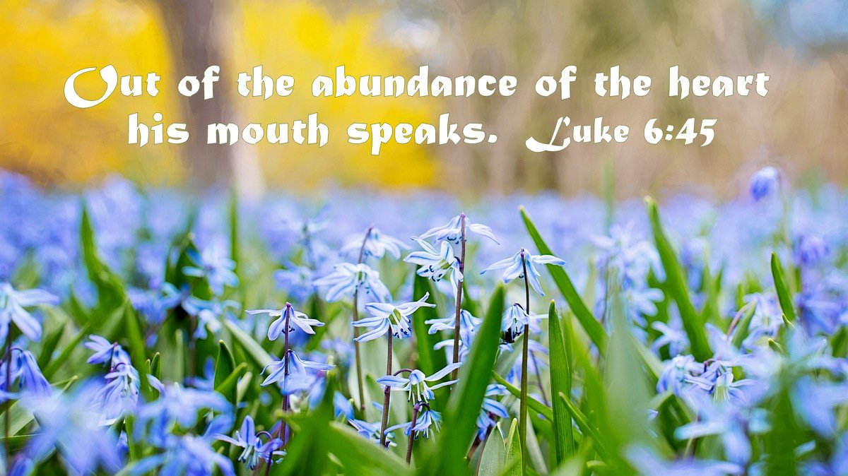 BIBLE LINE ～ バイブルライン tweet media