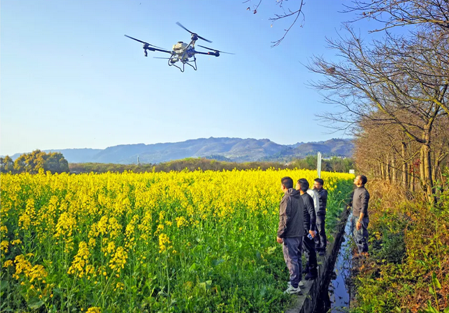 ThisisBijie's tweet photo. Hope for a bountiful harvest is blossoming in Bijie this spring, as fields come alive with the roar of machinery amid sprouting greens. #BijieIndustries #SpringPlanting 🌾🥬 https://t.co/Vib6RMRF6P
