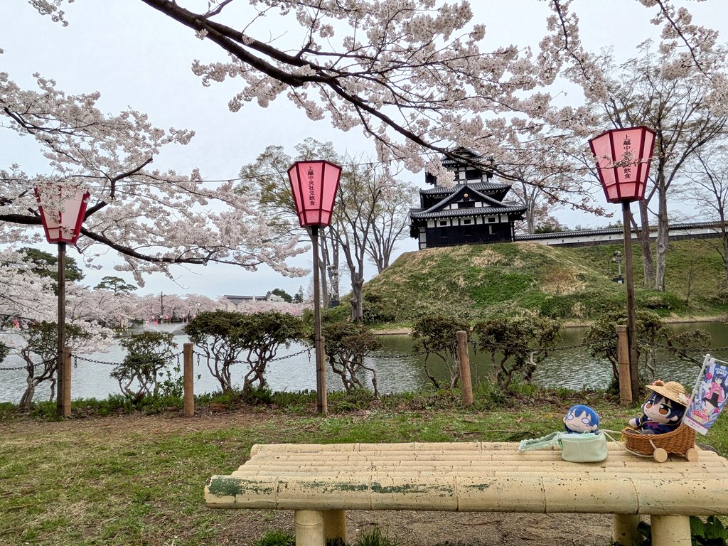 ねぎみそ＠山頂アタック部 tweet media