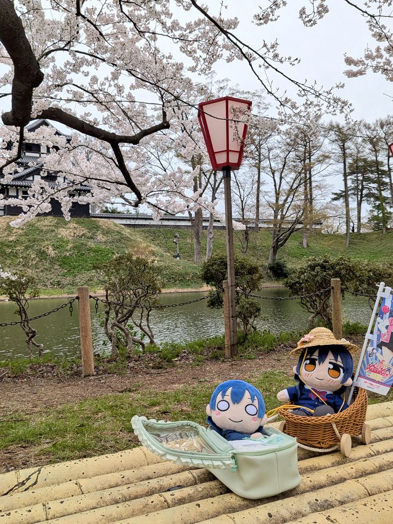 ねぎみそ＠山頂アタック部 tweet media