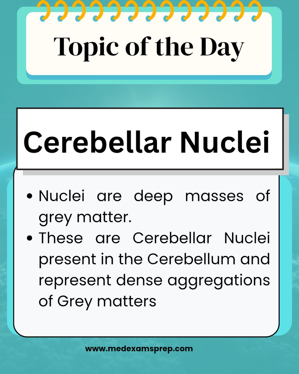 medexamprep's tweet photo. #NEETPG #FMGE #NEXTExam #MedicalPrep #MedStudents #MBBS #DoctorsOfIndia #MedicalExams #QuestionBank #MCQs #ExamPreparation #StudySmart #LastMinuteRevision #HighYield #ConceptBasedLearning #ImageBasedQuestions #MedicalEducation https://t.co/XcXJieYkEe
