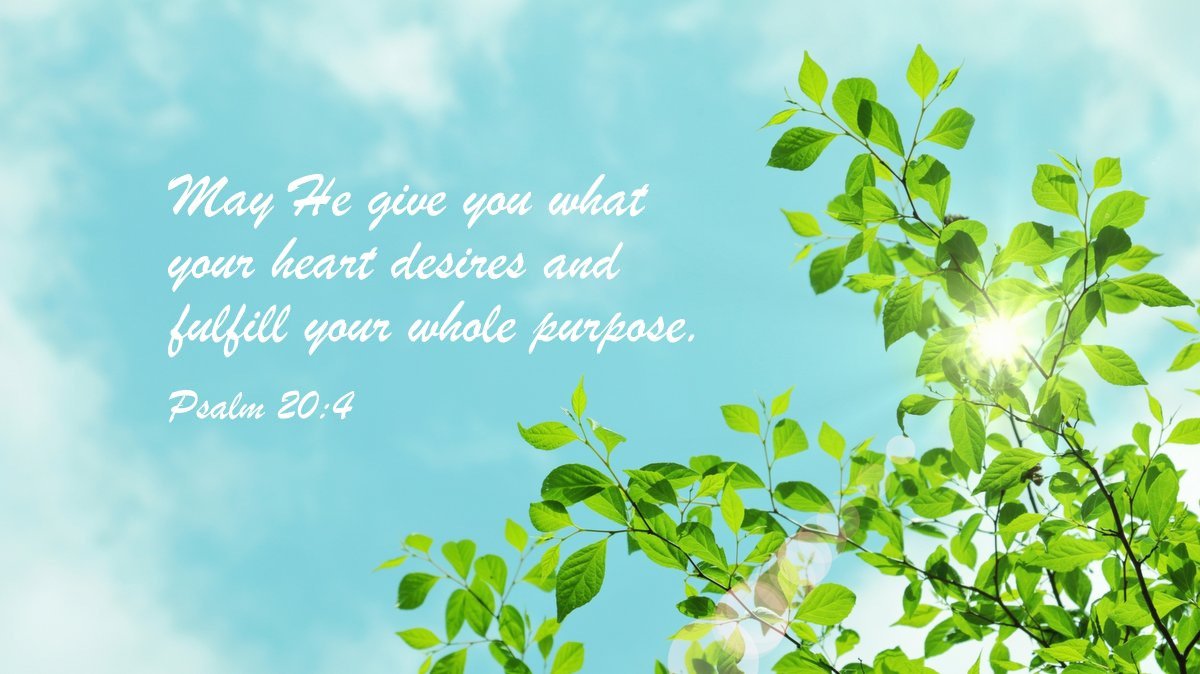 BIBLE LINE ～ バイブルライン tweet media