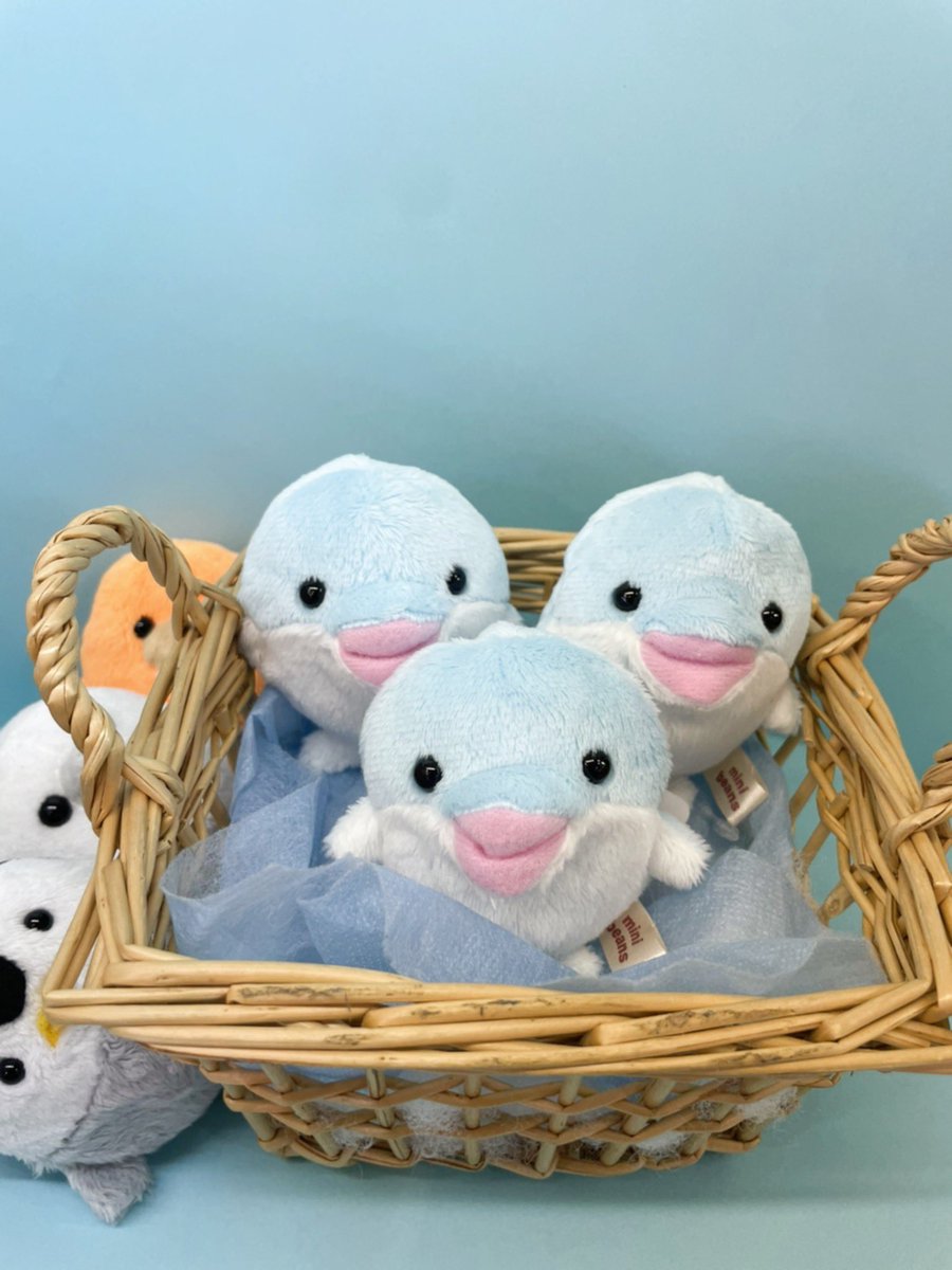 ぬいぐるみ専門店YYSHOPの公式アカウントができましたー！ よろしく