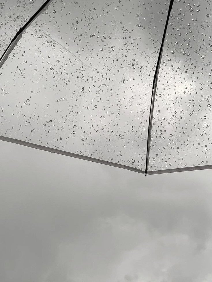 - حمد - tweet media