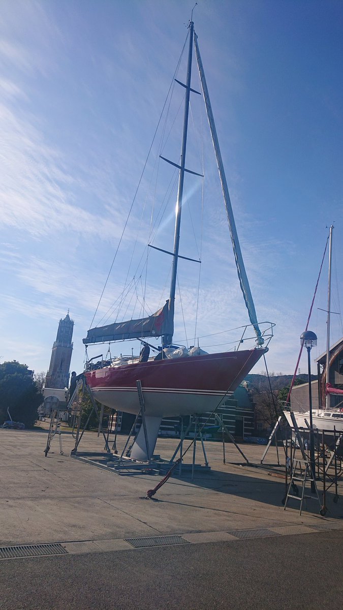 agopro irie tweet media