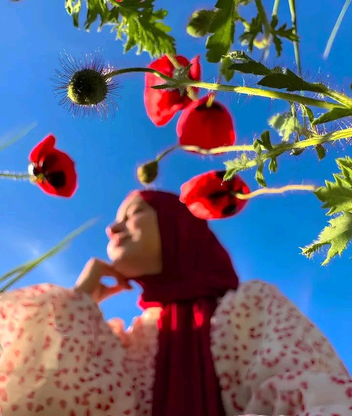 TheScholar00's tweet photo. A soul wrapped in calm_
and a heart that feels like spring 💗🌱🌸... https://t.co/uQSOR5ZBAQ