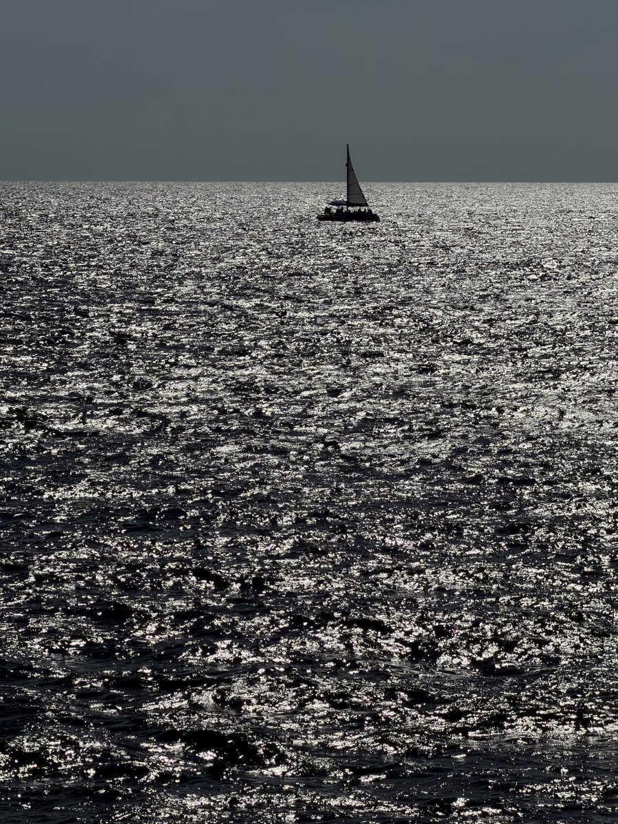 Ilse Osuna 🌊 tweet media