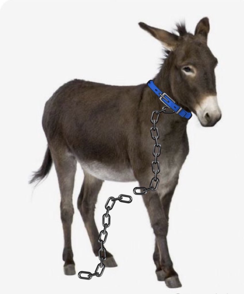 ناصر العرجاني tweet media