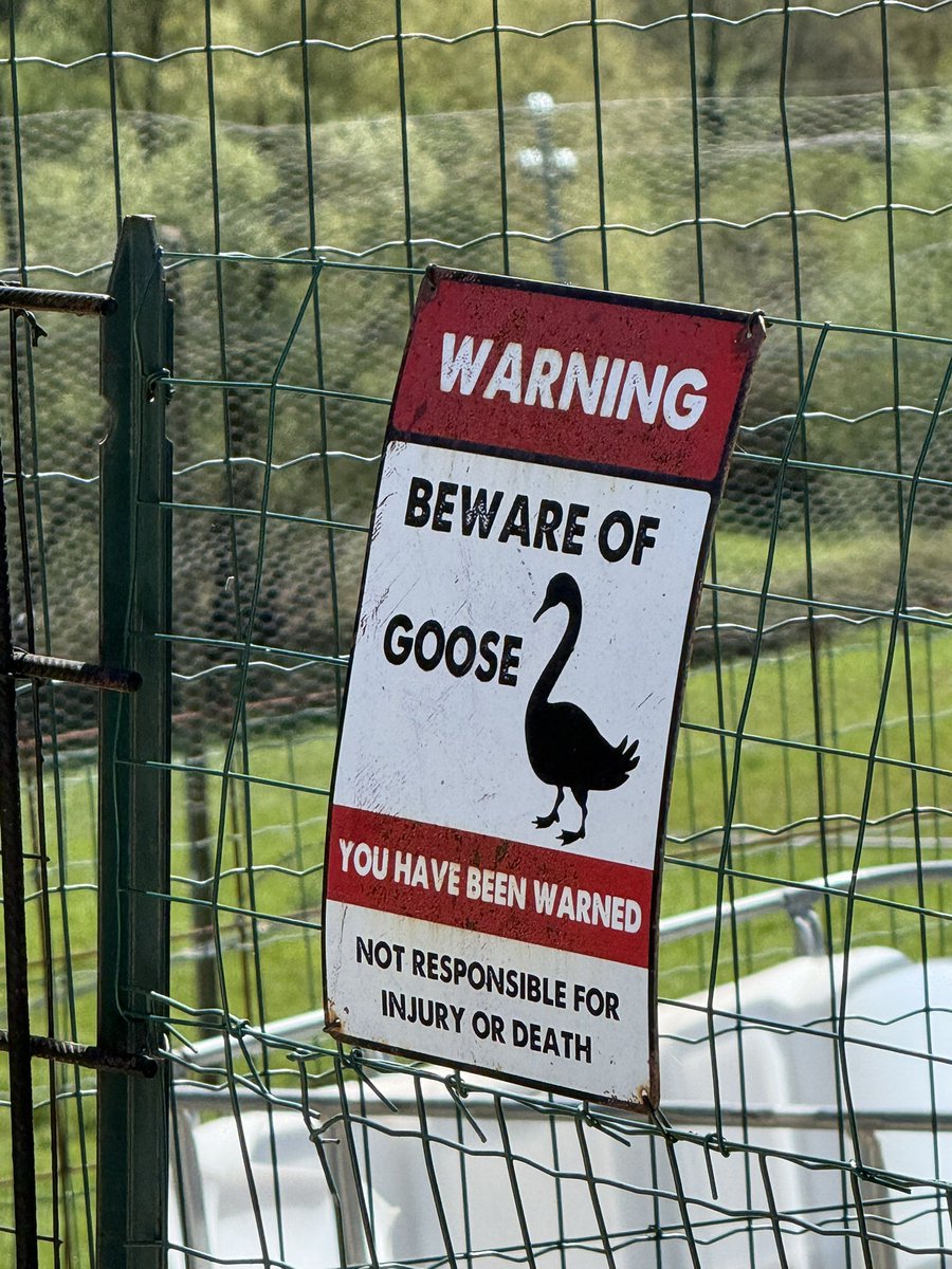 Paulo Moreno tweet media