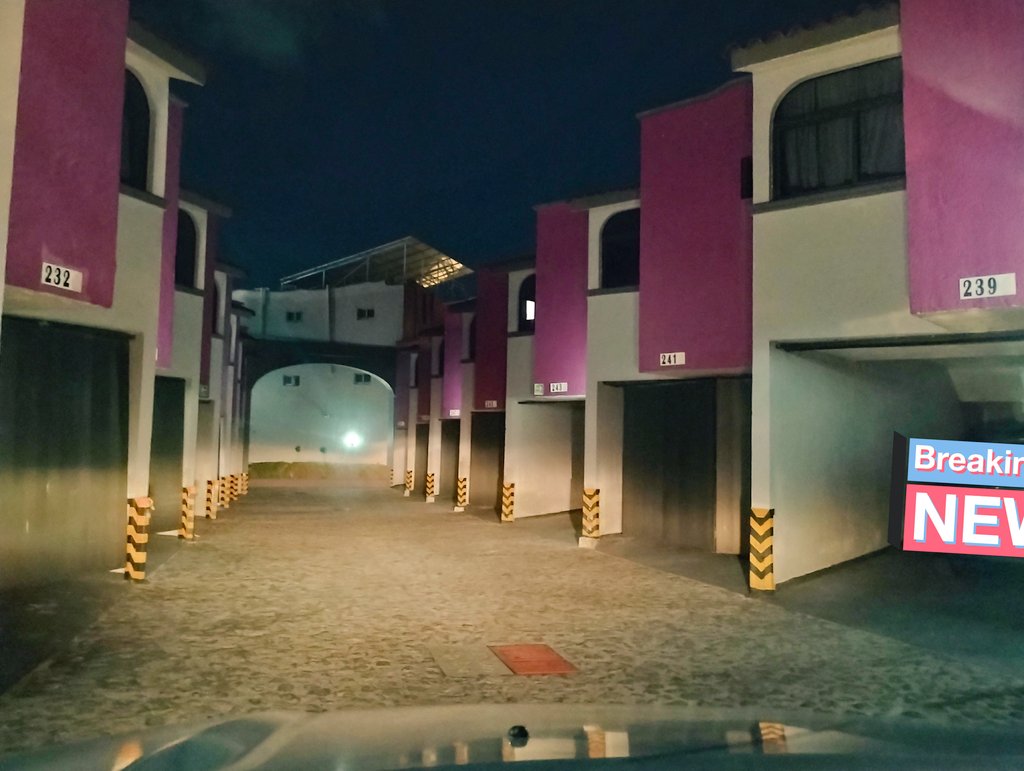 Queen Escorts #1 tweet media