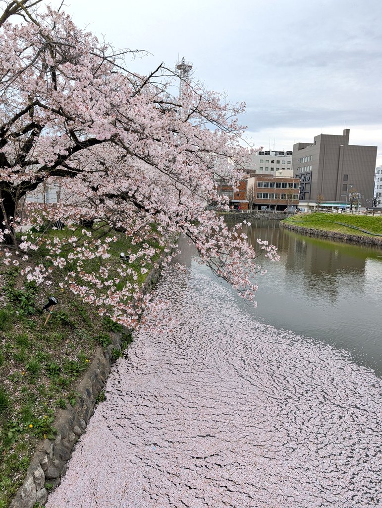 leica_elmar tweet media