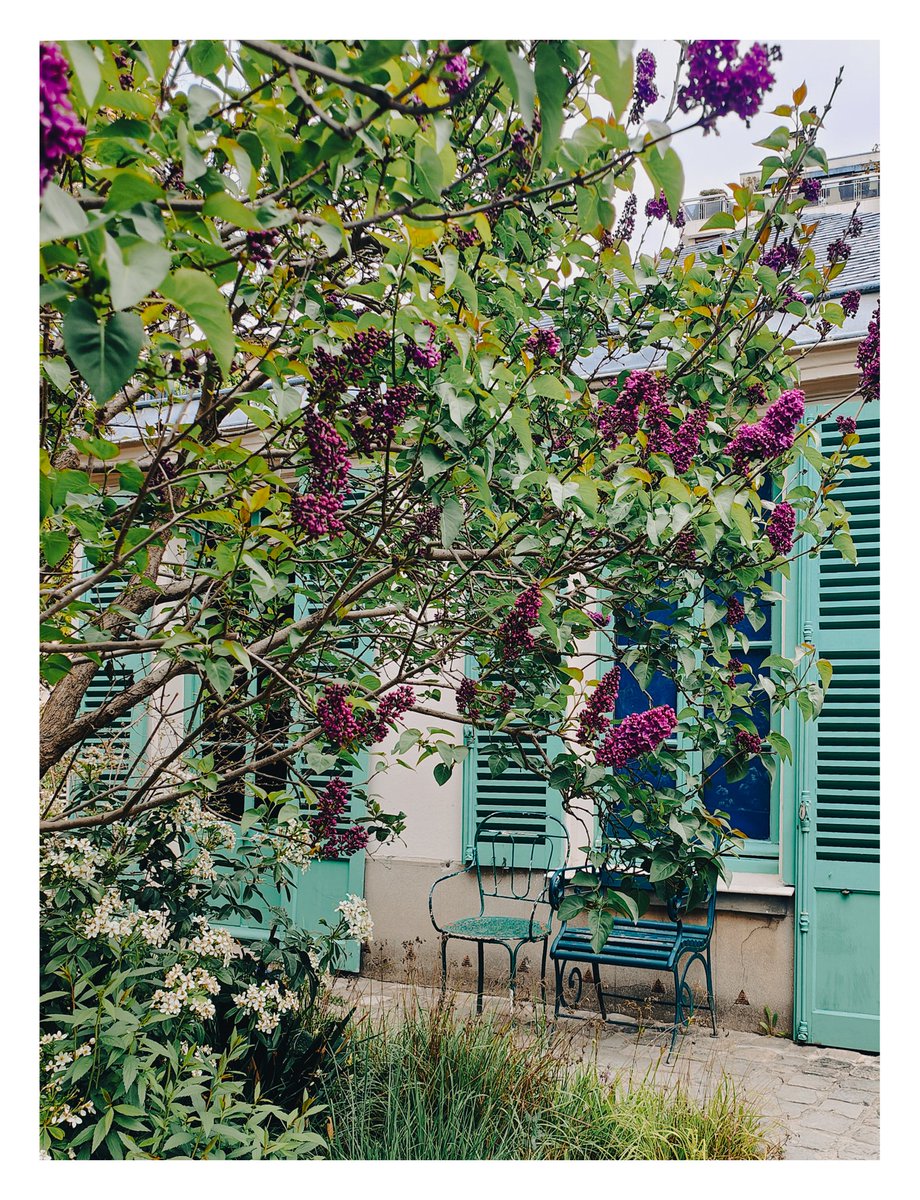 Meja_Mathieu's tweet photo. Cette photo, prise dans le jardin de la Maison de Balzac, m’a rappelé une peinture de Berthe Morisot que j’aime particulièrement (photo en commentaire). 

Maison de Balzac, Paris
#mobilephotographie #jeudiphoto
1/2 https://t.co/W97K08k2XF